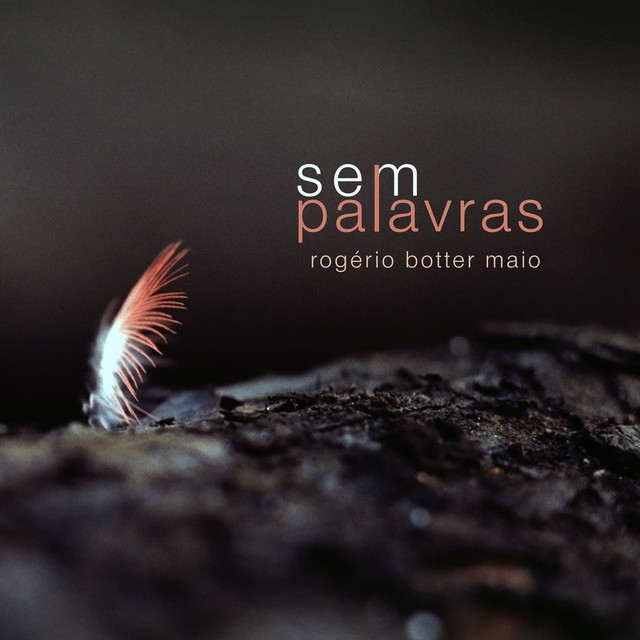 SEM PALAVRAS