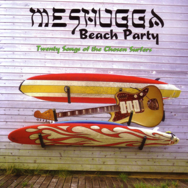 Twenty Songs Of The Chosen Surfer cover art
