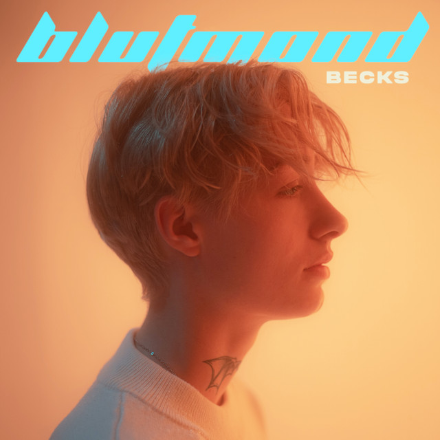 Blutmond - EP cover art