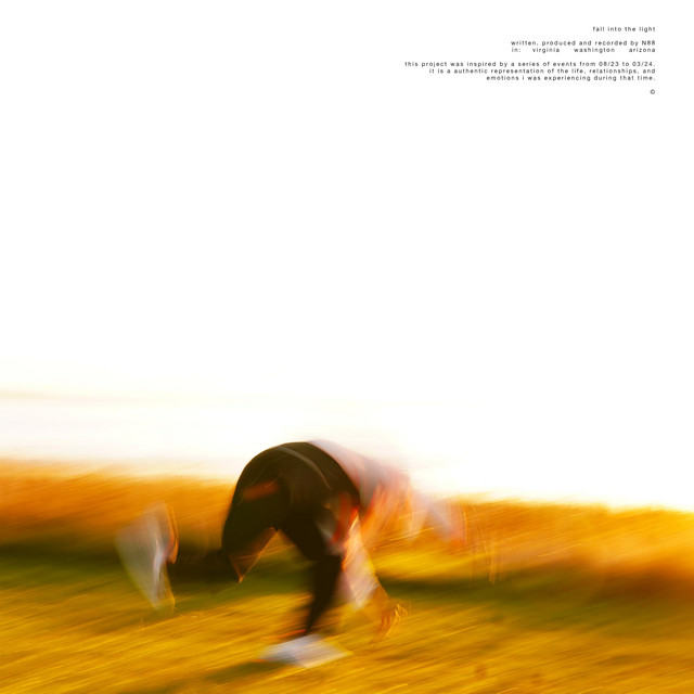 fall into the light cover art