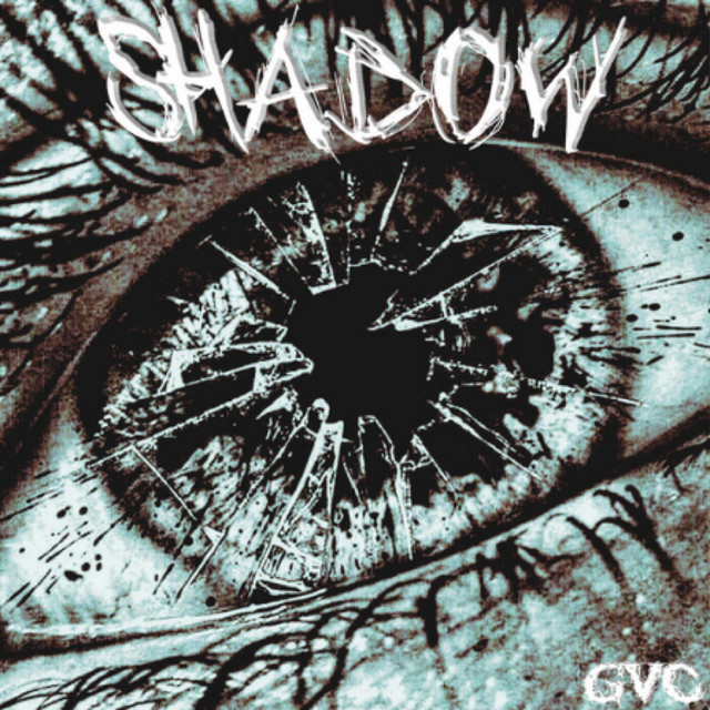 The Shadows cover art