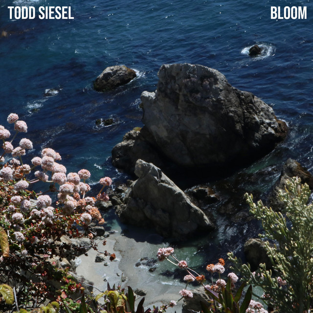 Bloom cover art