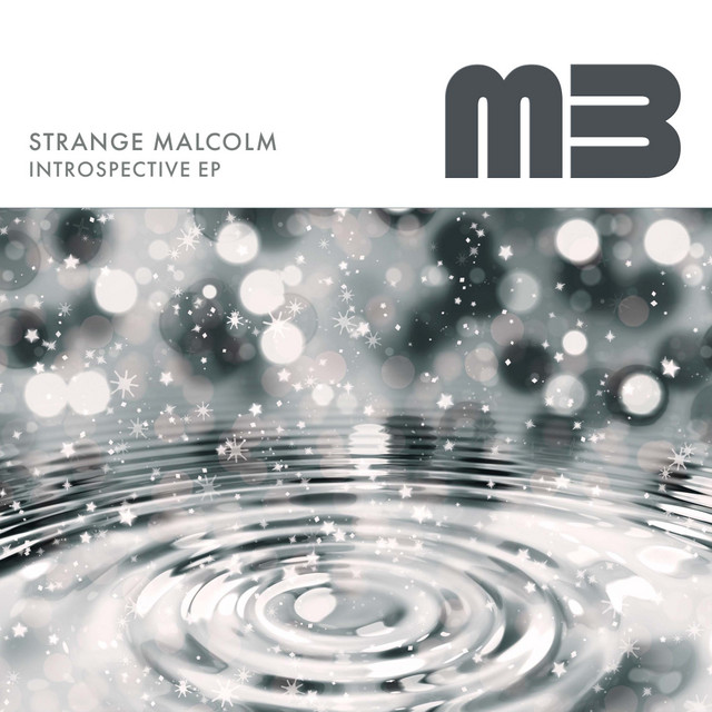 Introspective cover art