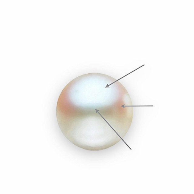 No Grit, No Pearl cover art