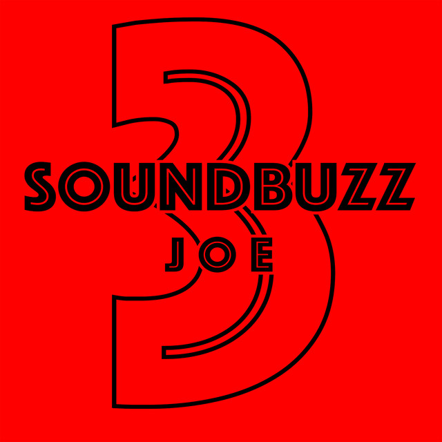SOUNDBUZZ 3: The Last cover art