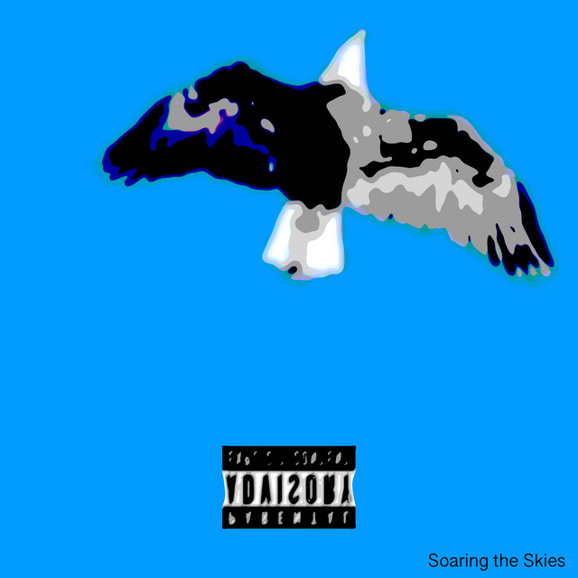 Soaring The Skies cover