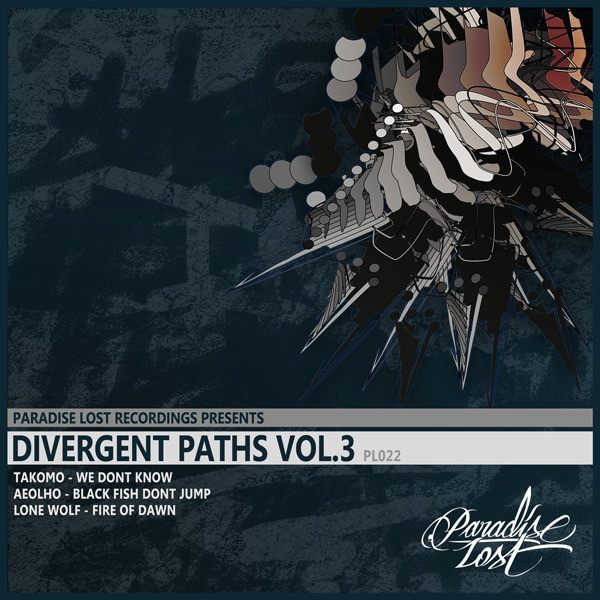 Divergent Paths Vol.3 cover