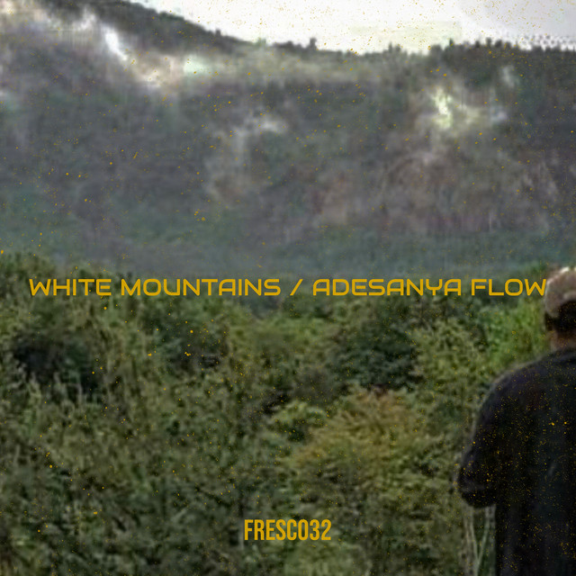 White Mountains / Adesanya Flow
