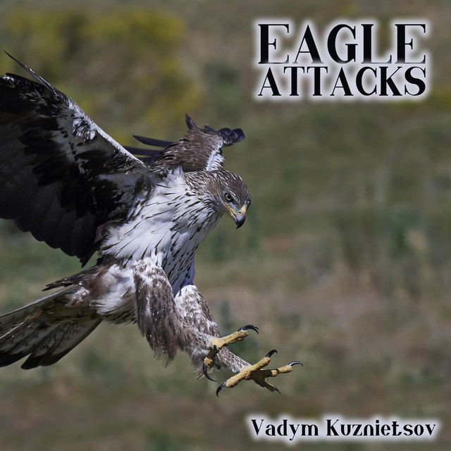 Обкладинка: Eagle Attacks — Vadym Kuznietsov