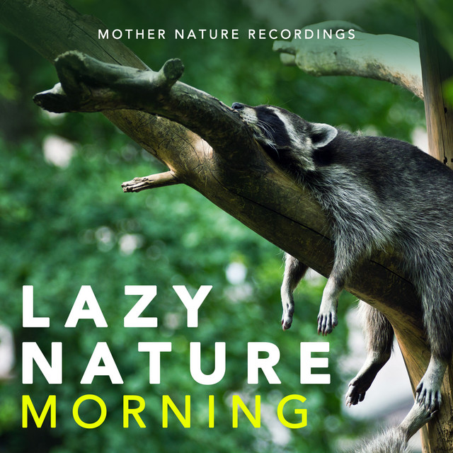 Lazy Nature Morning - Album by Mother Nature Recordings | Spotify