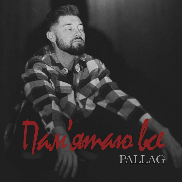 Cover art: Пам'ятаю все — PALLAG