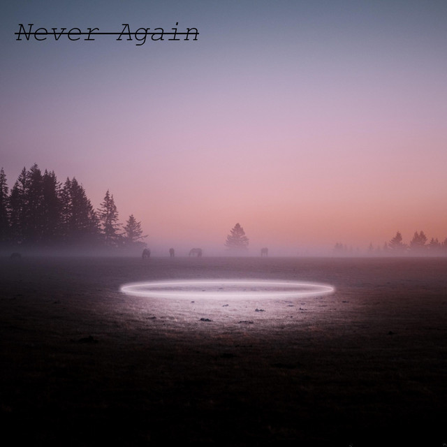 Never Again cover art