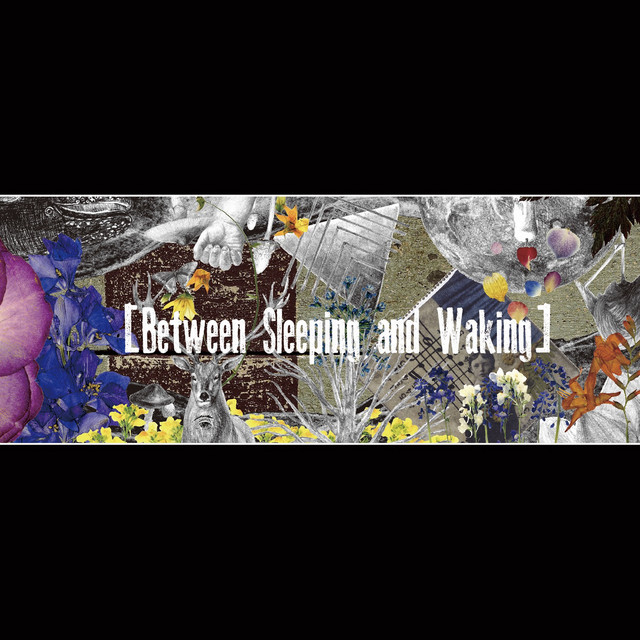 Between Sleeping and Waking cover art