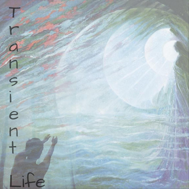 Transient Life cover