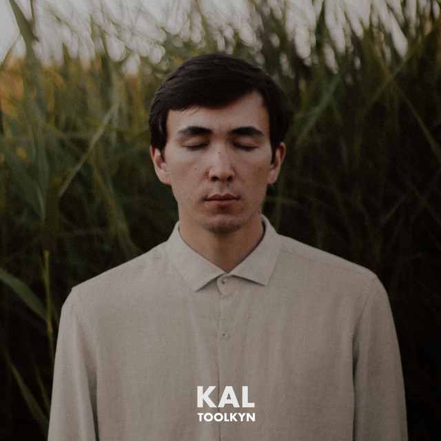 Kal - Single by Toolkyn | Spotify