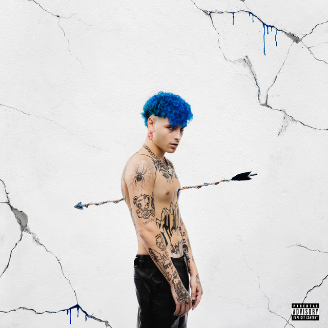 MALDIVITA cover art