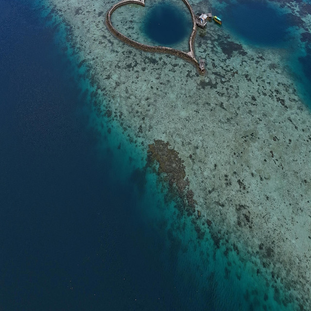 Sander Tureay - Twinflame