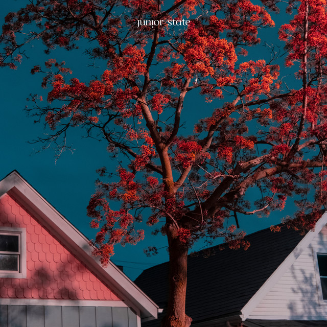 Have I Told You cover art