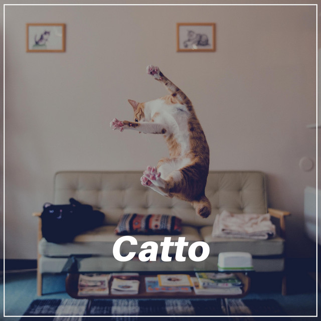 Catto - Album by Music For Cats | Spotify