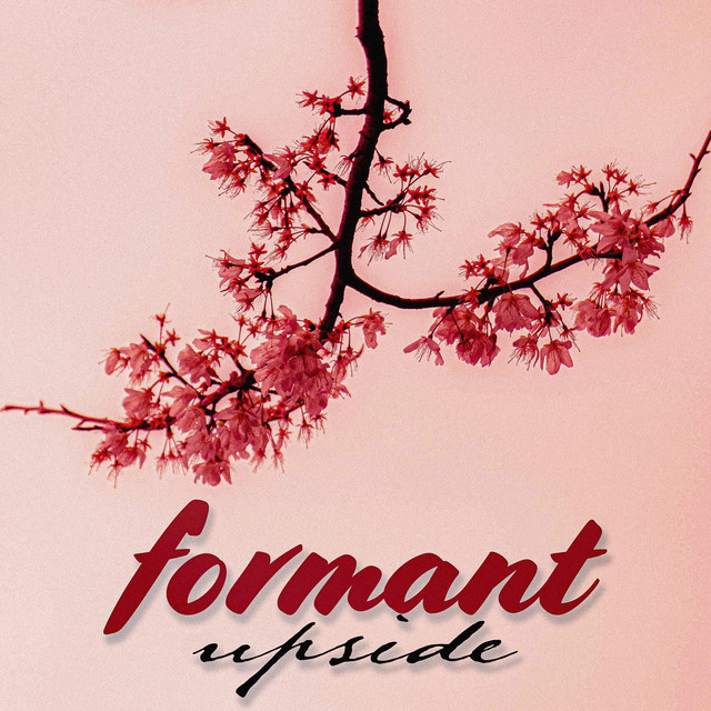 Upside cover art