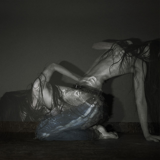 Something is a shell by SOFIA ISELLA