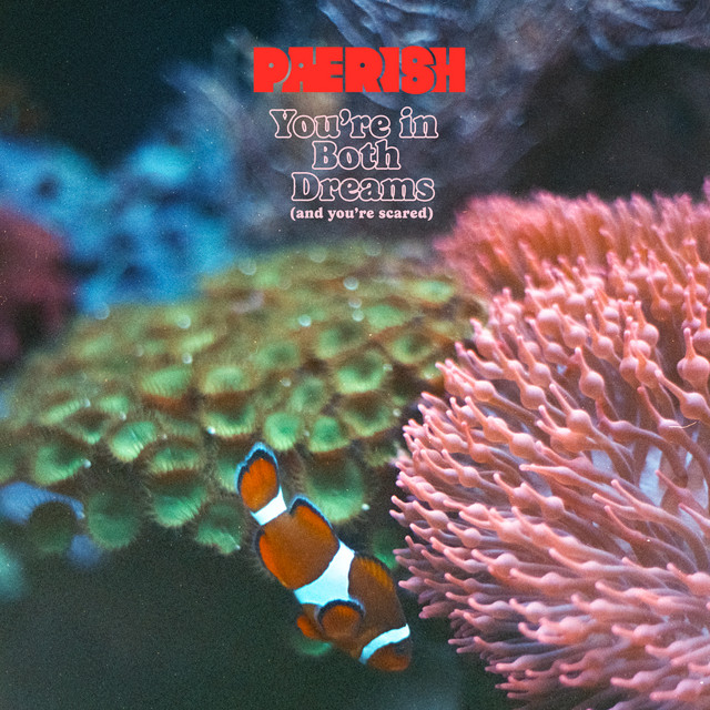 You're in both dreams (and you're scared) cover art