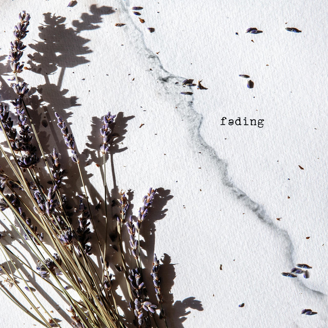 Fading - Single by Alex & the Lights | Spotify