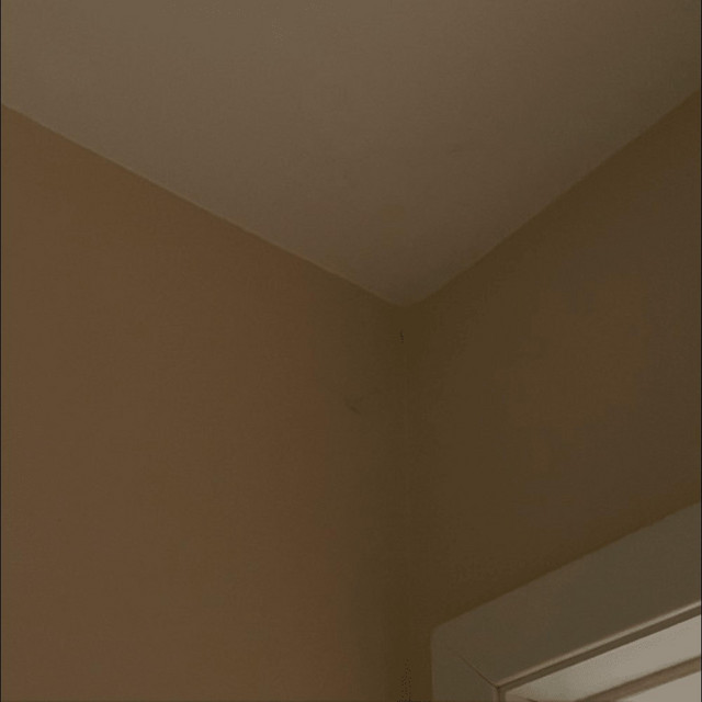 traitor cover art