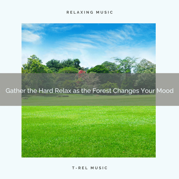 2020 Best: Gather the Hard Relax as the Forest Changes Your Mood cover art