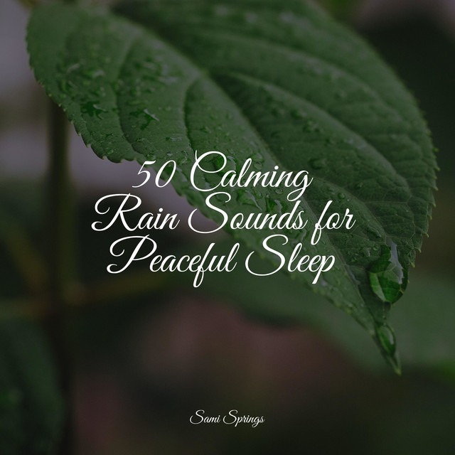 50 Calming Rain Sounds for Peaceful Sleep - Album by The Relaxing ...