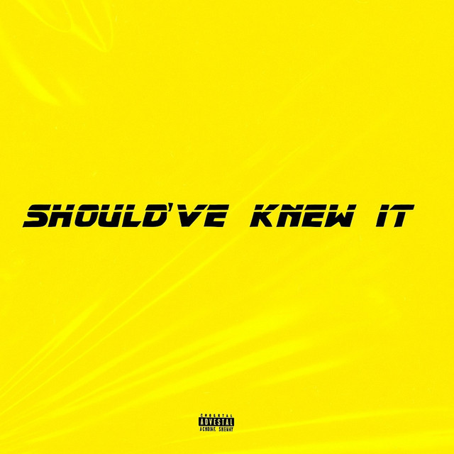 Shouldve knew it - Single by Li 39th | Spotify