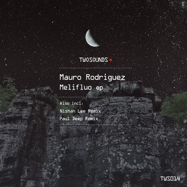 Melifluo - Nishan Lee Remix album art