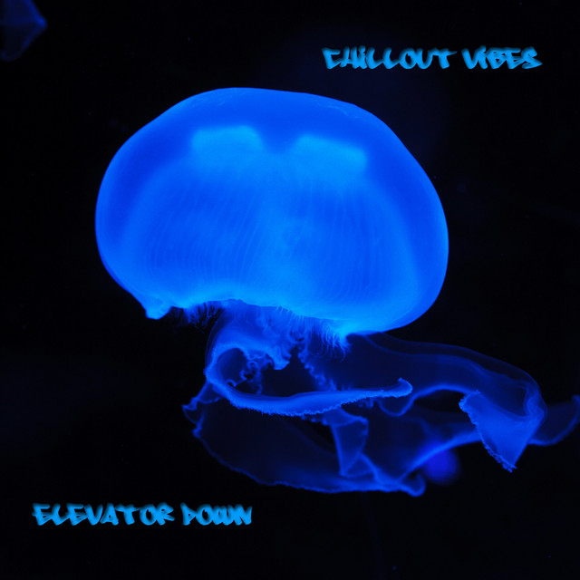 Chillout Vibes cover art