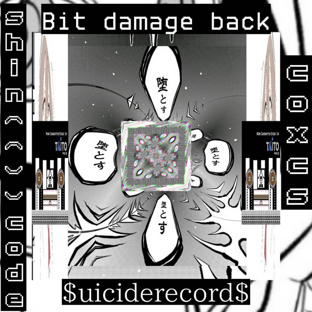 Bit damage back cover art