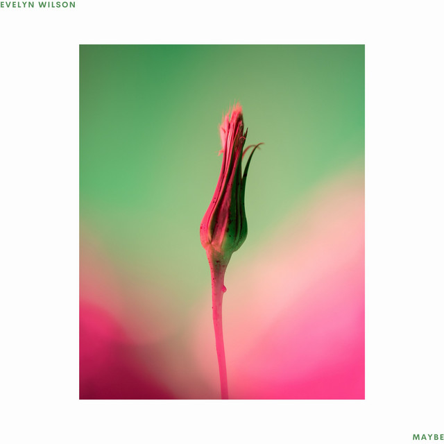 Maybe cover art