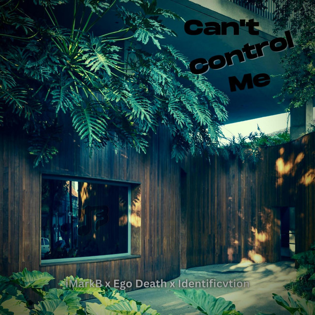 Can't Control Me - Single by iMarkB | Spotify