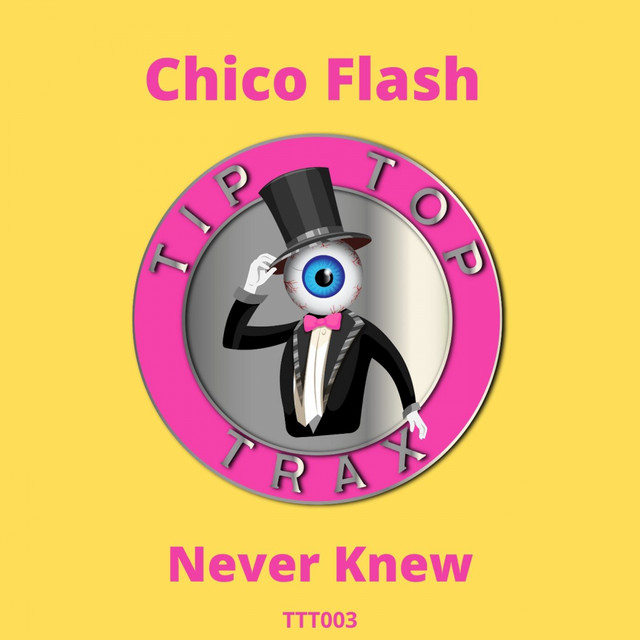 Never Knew album art