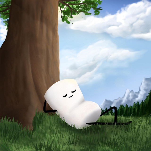 FLUFF cover art