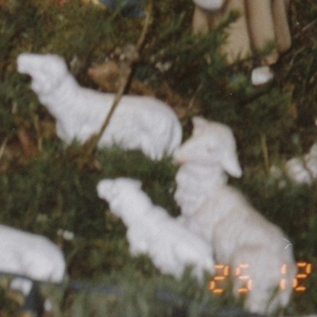 lamb cover art