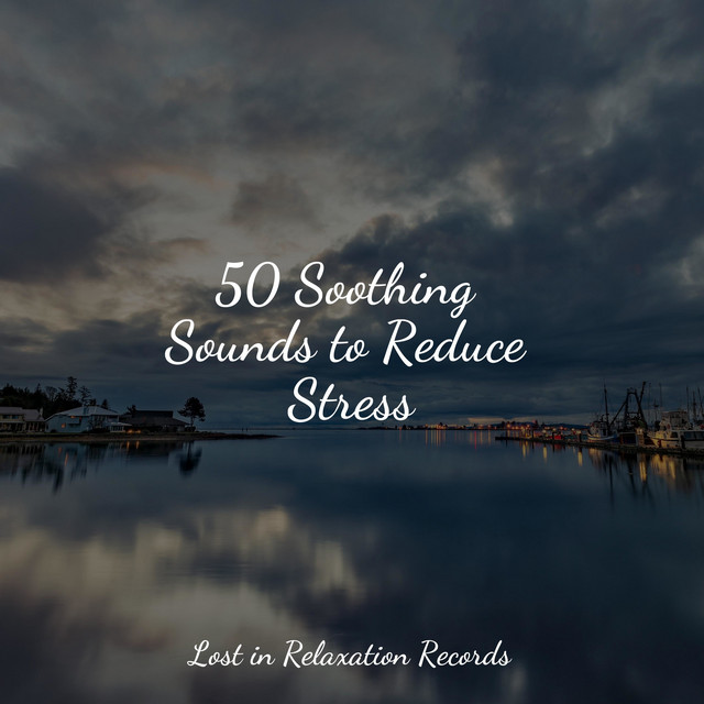 50 Soothing Sounds to Reduce Stress - Album by Pro Sound Effects ...