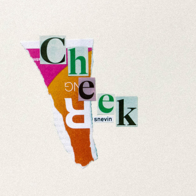 Cheek cover art