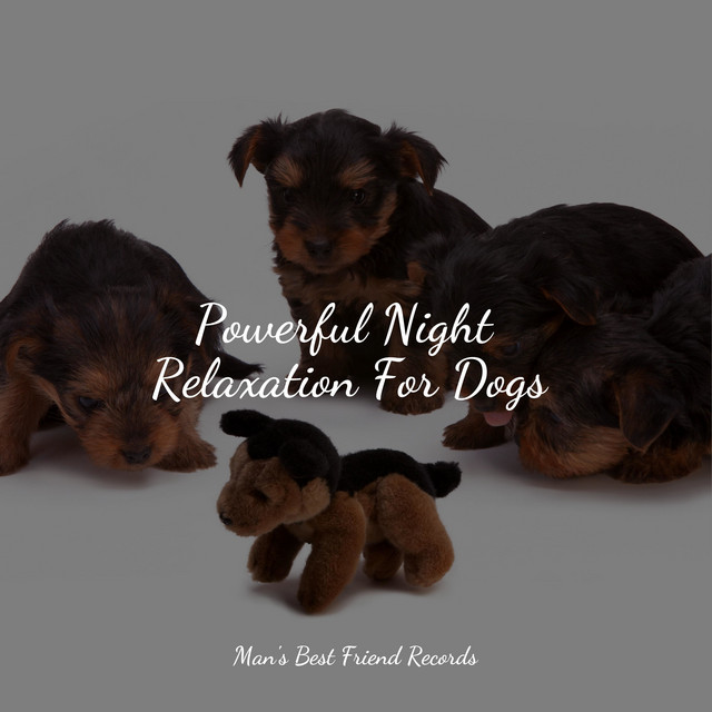 Tension Relief For Dogs cover art