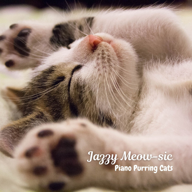 Jazzy Meow-sic: Piano Purring Cats cover art