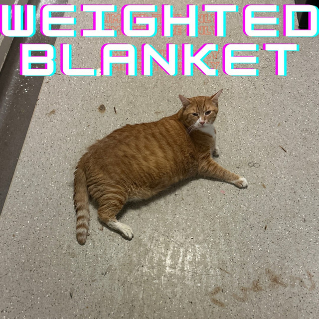Weighted Blanket cover art