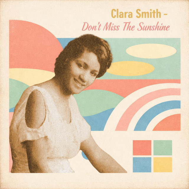 Don't Miss The Sunshine cover art