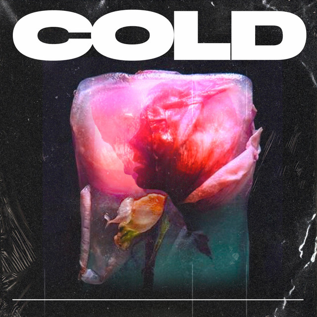 Cold cover
