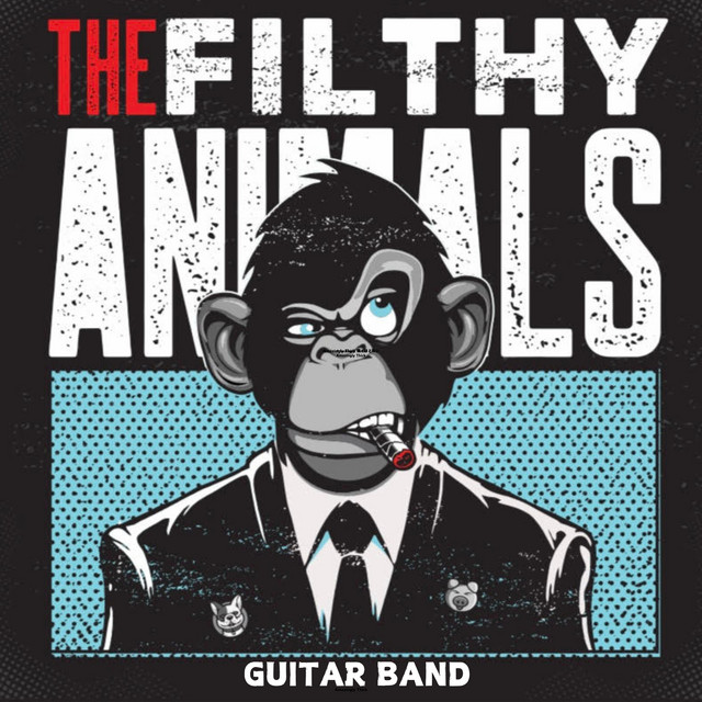 Guitar Band cover
