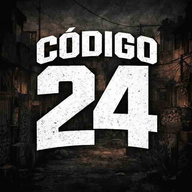 codigo 24 RaC