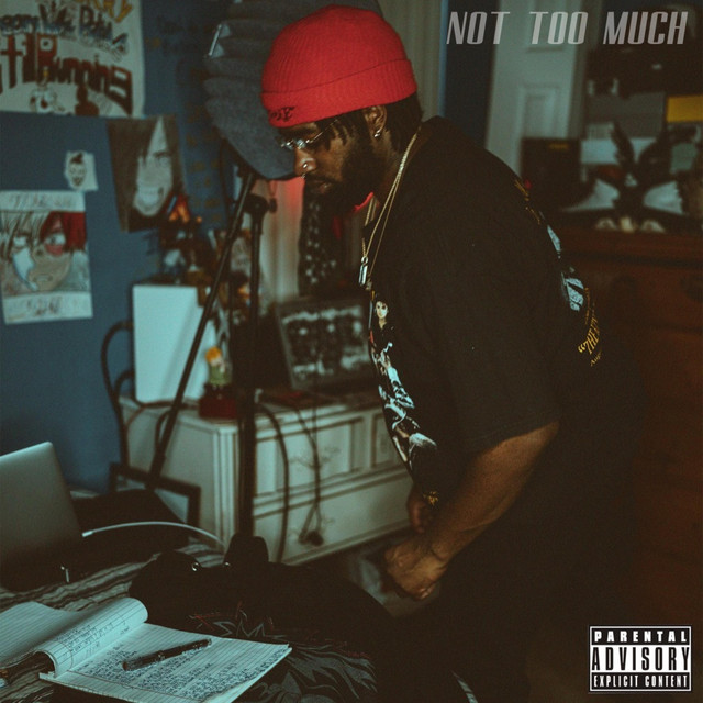 NOT TOO MUCH cover art