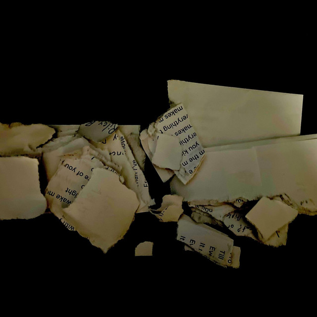 whitened words cover art